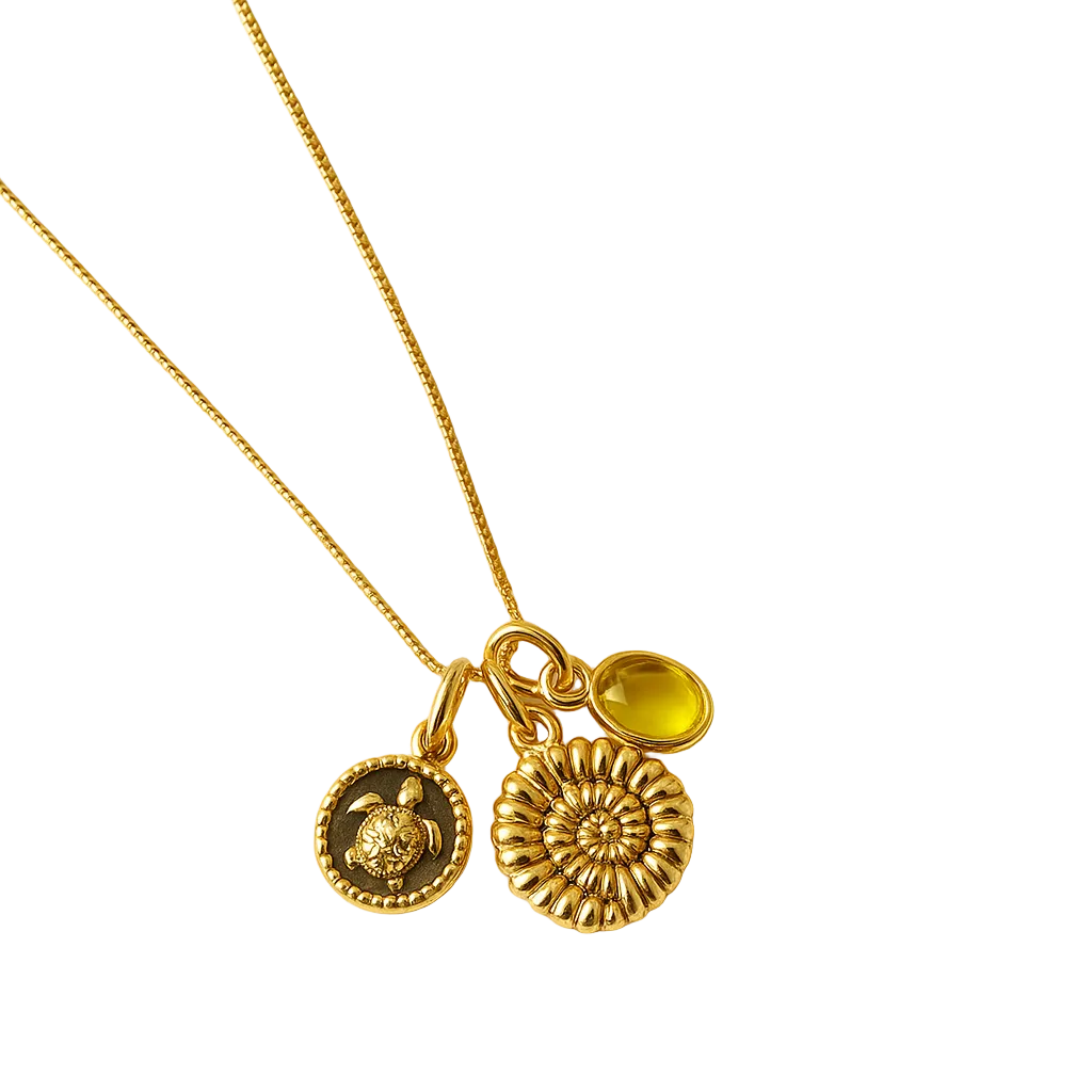 Collar | Mar Personalizable Mini