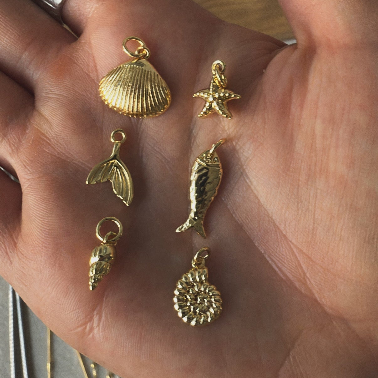 Collar | Mar Personalizable Mini