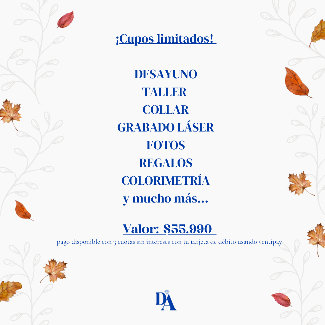 Taller Charm Brunch | Autumn Edition