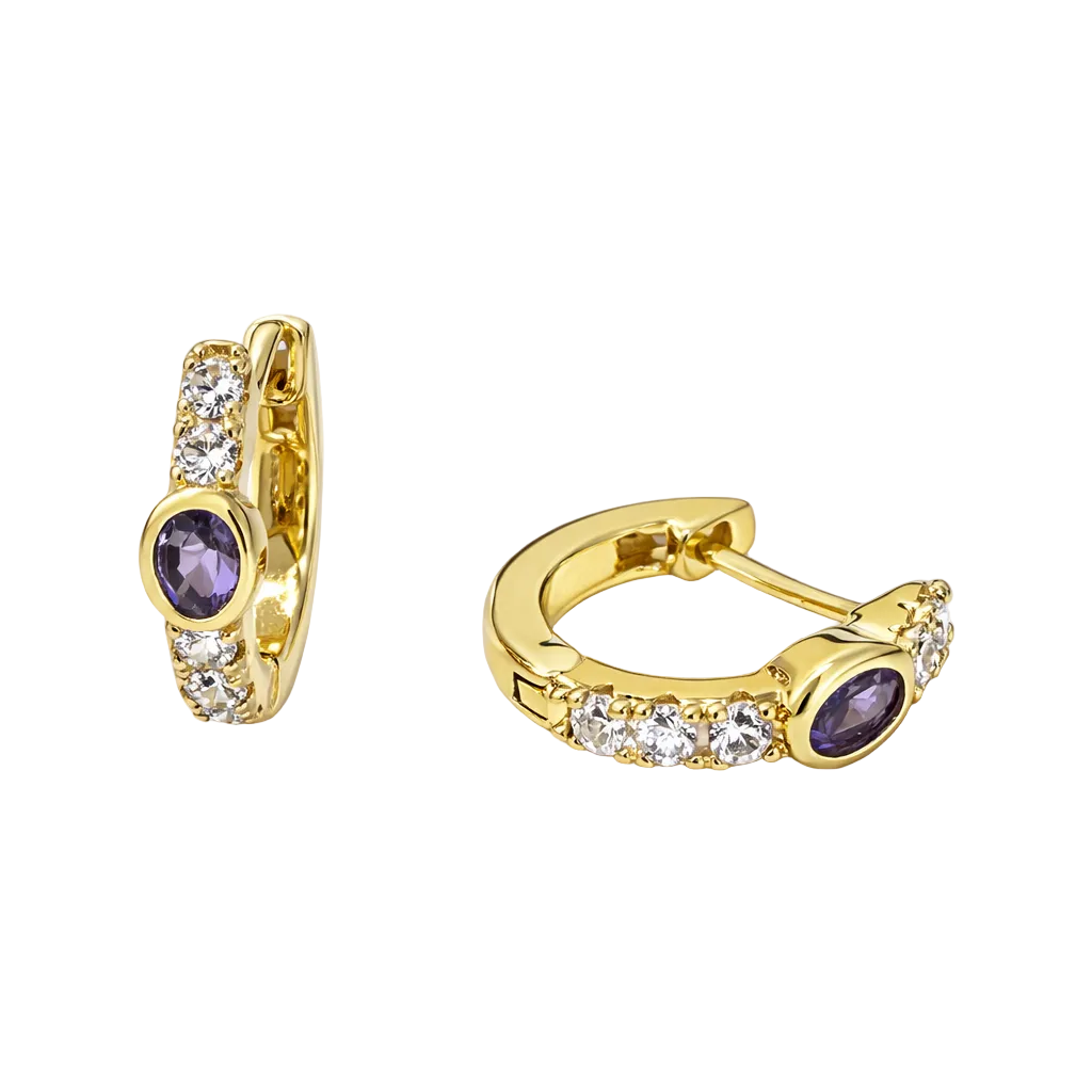 Aros | Piercing Purple