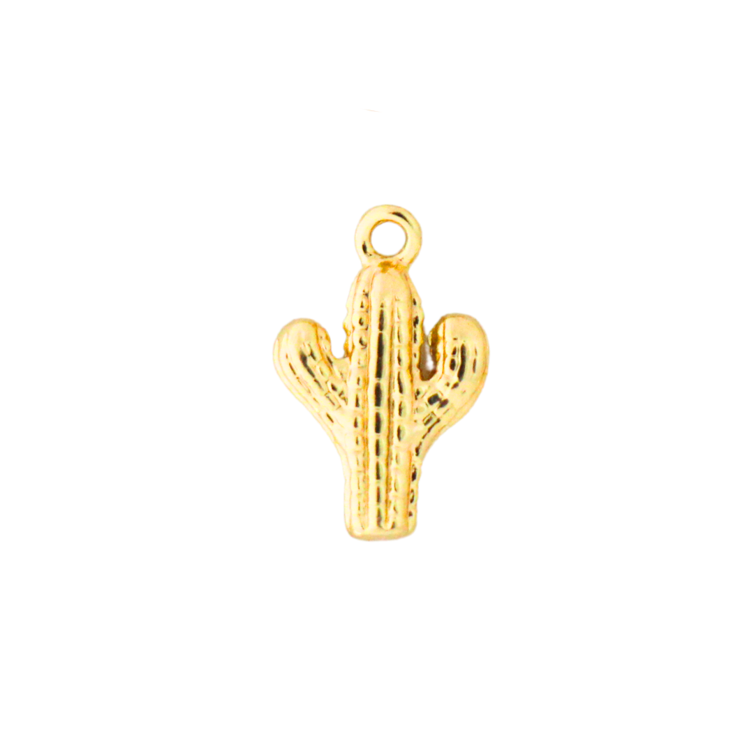 Charm | Cáctus