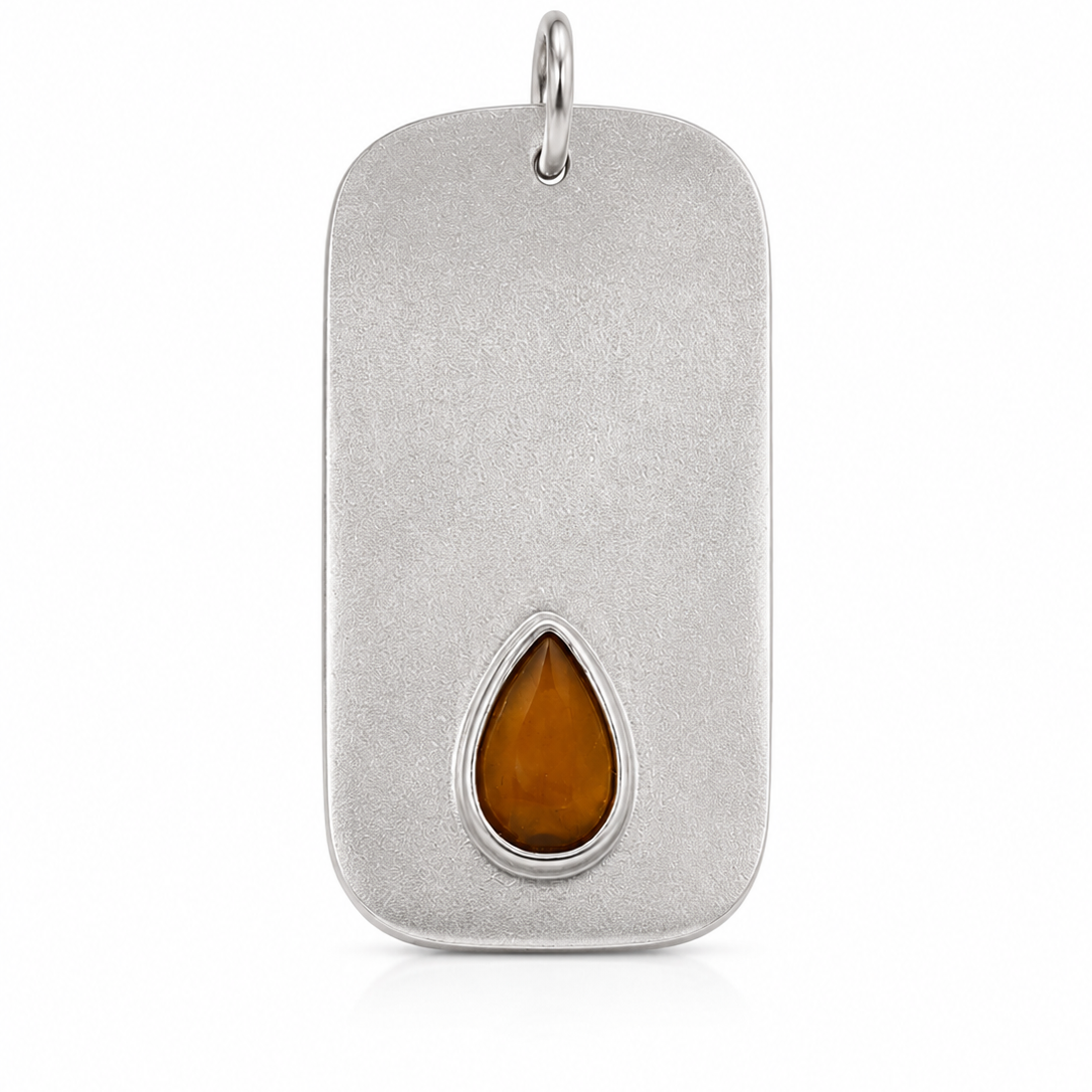 Collar Placa | Earth Writer Silver