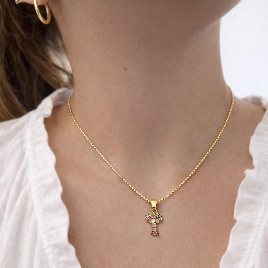 Cadenita | Langosta Pink